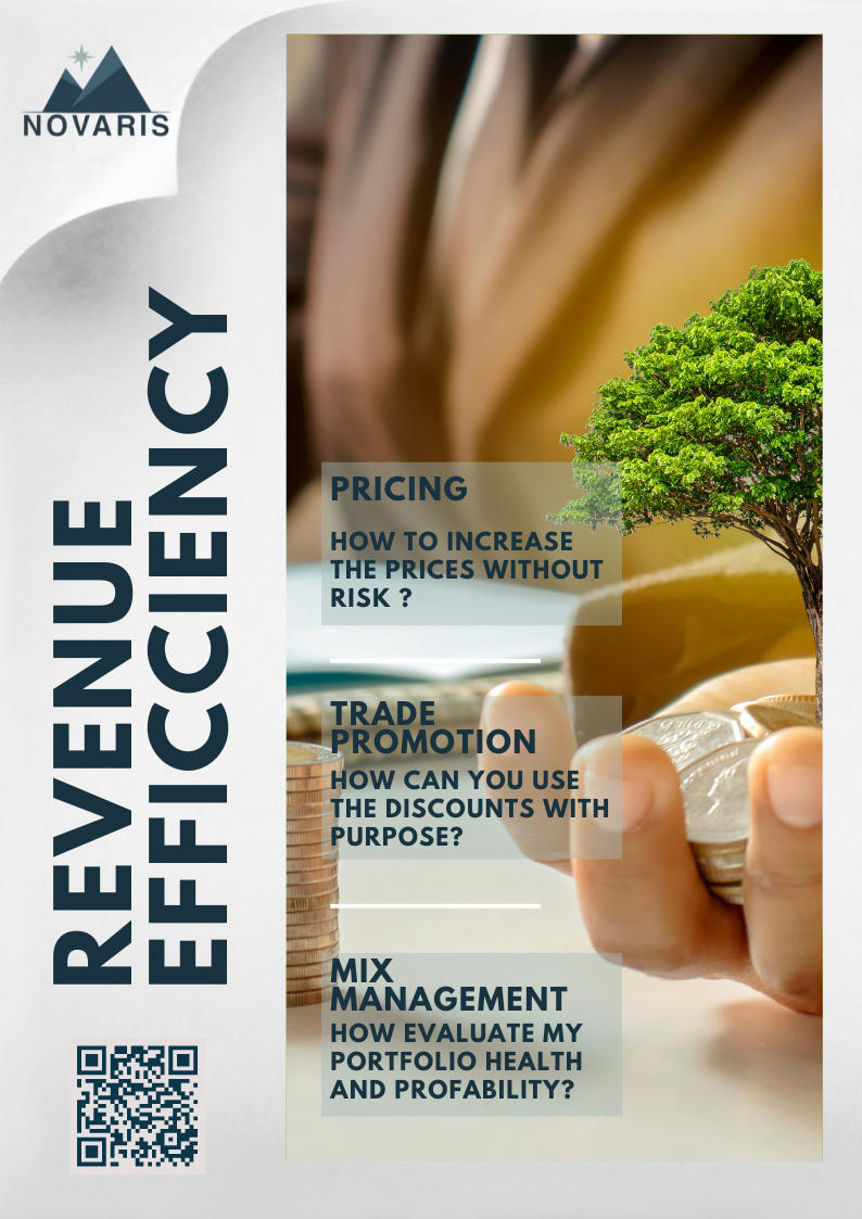 Revenue efficency Newsletter (1)